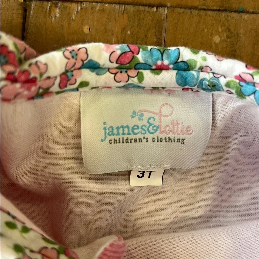 James & Lottie pink puff sleeve floral Peter Pan collar dress 3T